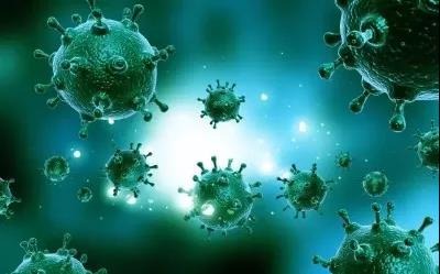 新型冠狀病毒肺炎聚集性疫情流行病學調查技術指南